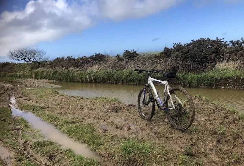 Lovely Shepherds Hut In Cornwall
