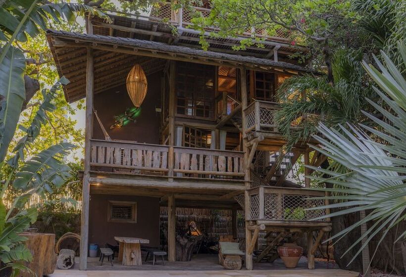 Pansiyon Rio Das Onças