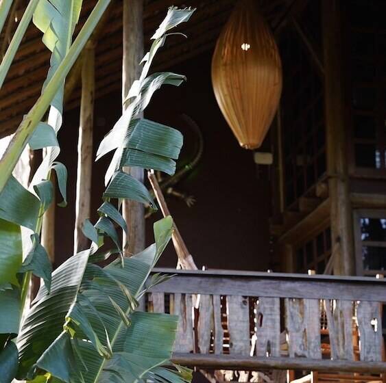 Pansiyon Rio Das Onças