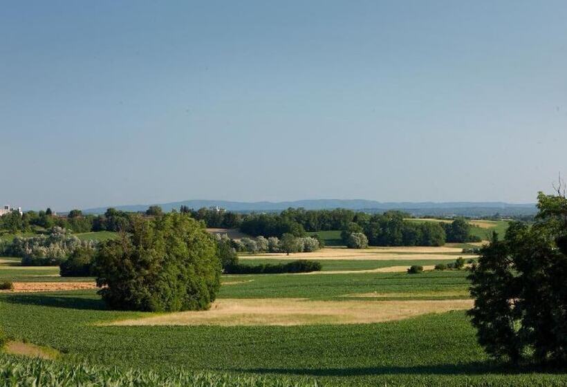 膳宿费 Tiny House Ambar