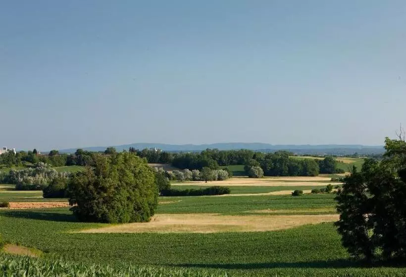 Majatalo Tiny House Ambar