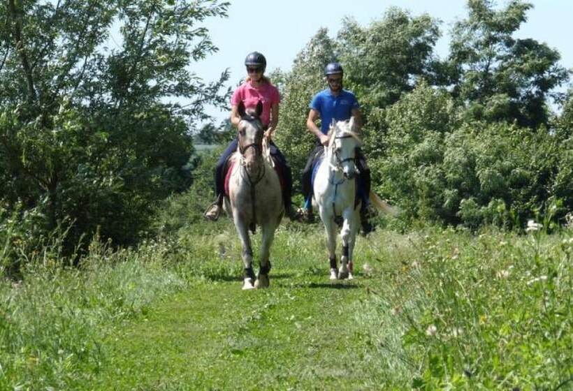 膳宿费 Tiny House Ambar