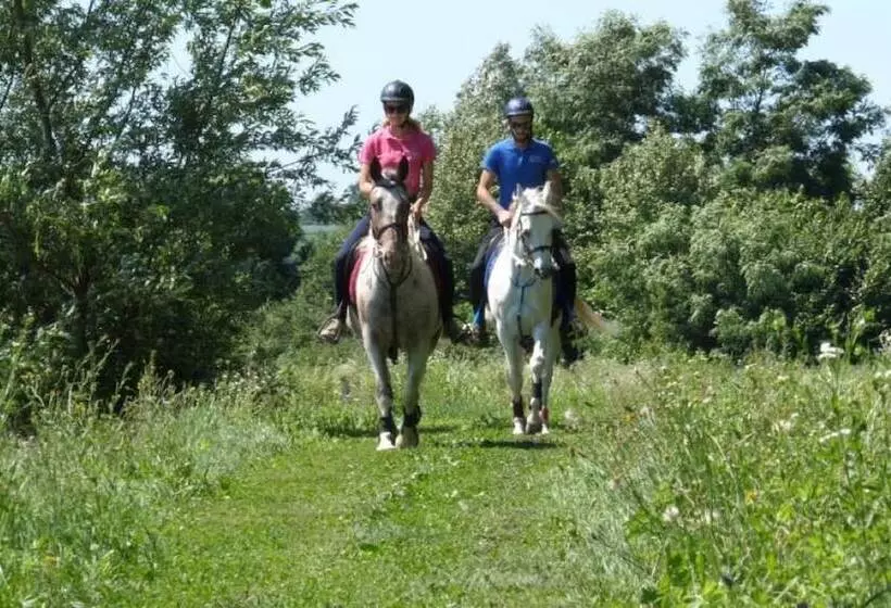 Majatalo Tiny House Ambar