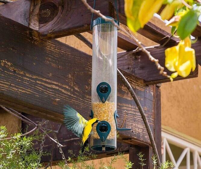 اقامتگاه Aquahaven Retreat In Kingston