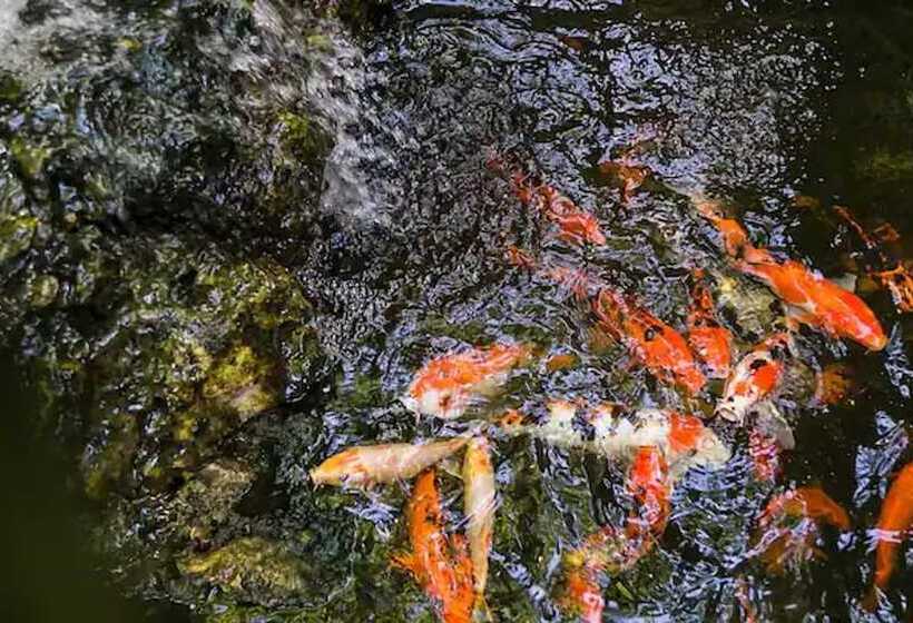 اقامتگاه Aquahaven Retreat In Kingston