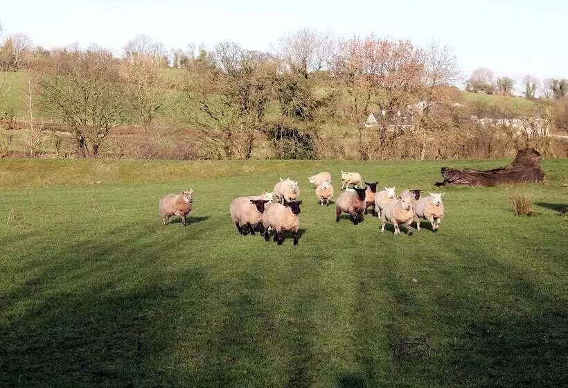 Residenssi Farmhouse Near Newtownstewart 3 Bedrooms