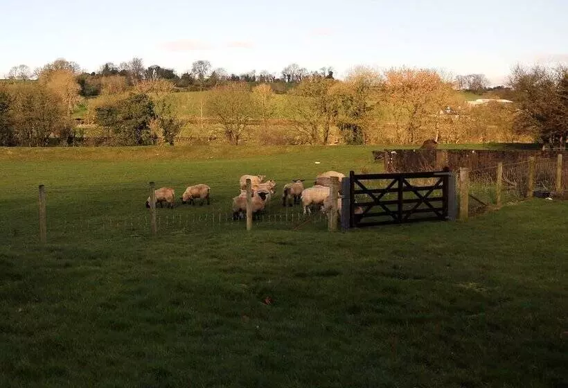 Residenssi Farmhouse Near Newtownstewart 3 Bedrooms