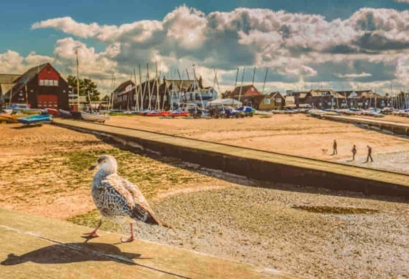 Rezydencja Beautiful Cottage In Central Whitstable