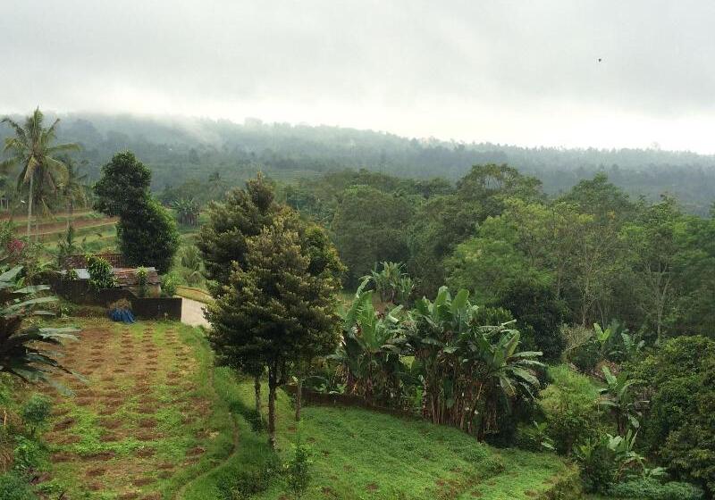 Pacung Indah Hotel And Restaurant