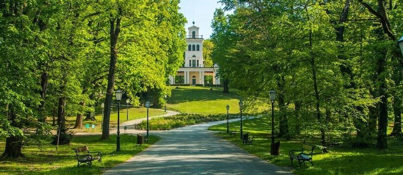 Madison Luxury Apartments & Rooms