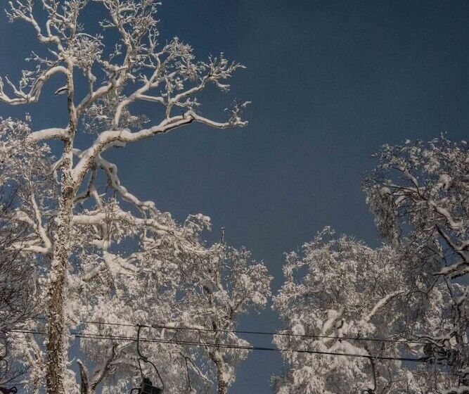 فندق صغير Morino Lodge   Myoko