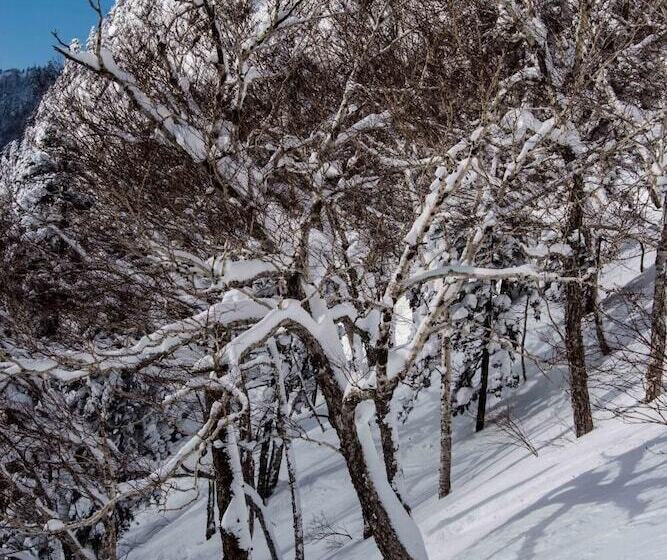 فندق صغير Morino Lodge   Myoko