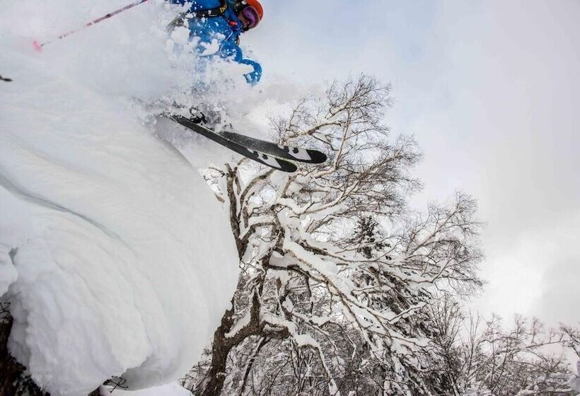 فندق صغير Morino Lodge   Myoko