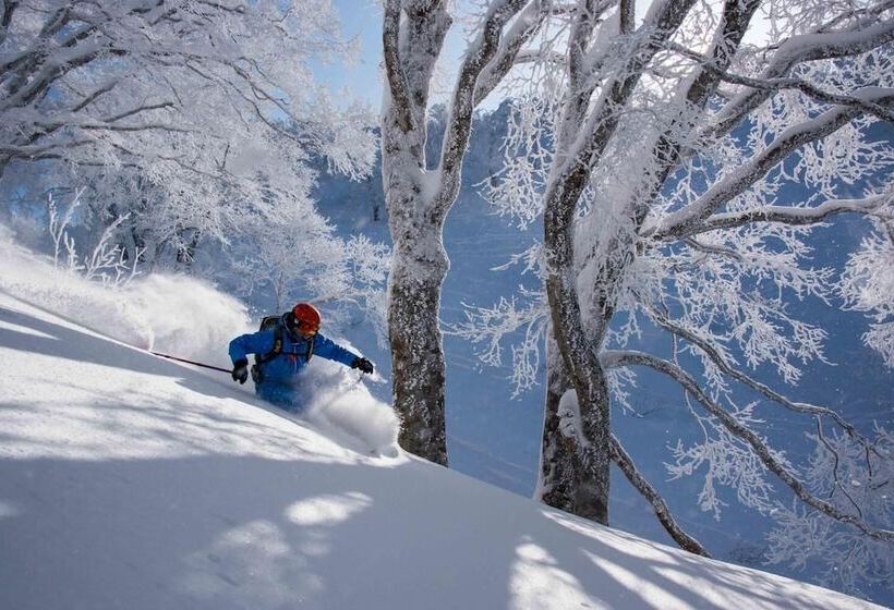 فندق صغير Morino Lodge   Myoko