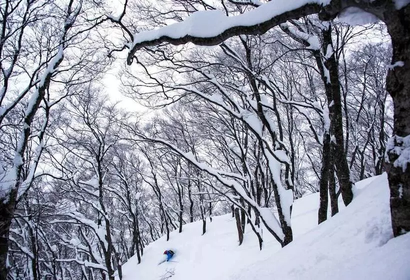ユースホステル Morino Lodge   Myoko