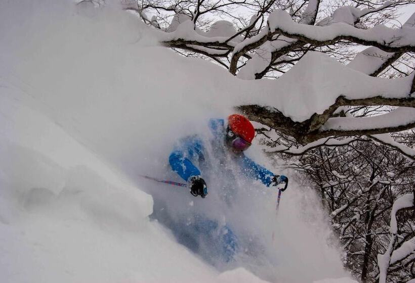 فندق صغير Morino Lodge   Myoko