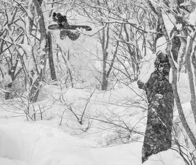 فندق صغير Morino Lodge   Myoko