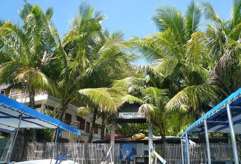 پانسیون Antelope Guesthouse