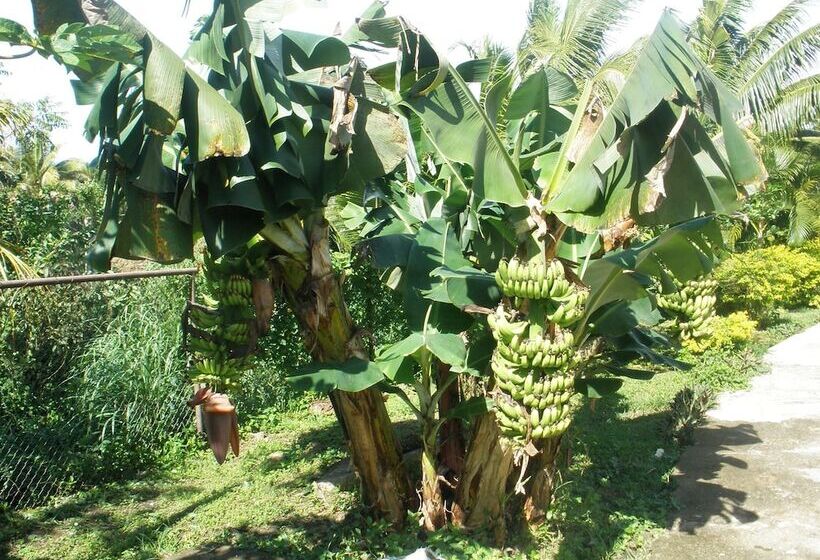 Shalini Garden Hotel & Apartments