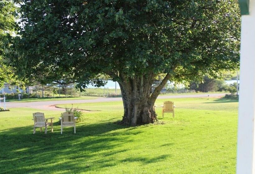 Bed & Breakfast Montgomery Inn Ingleside