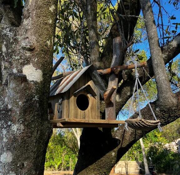 住宿加早餐 Noosa Hinterland Escape