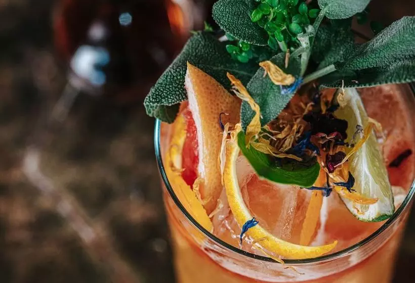 ホテル Athenarum Portus Life & Style