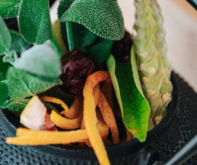 Hotel Athenarum Portus Life & Style