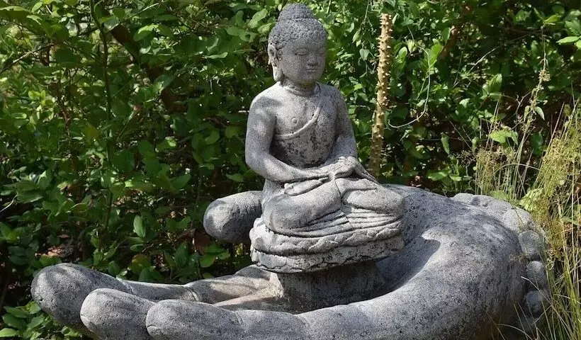 Hotelli Forest Escapes Koyna