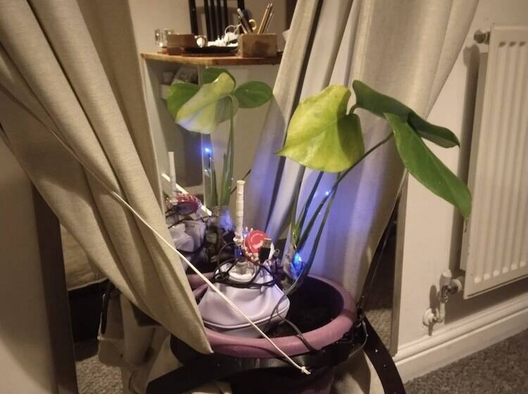 בית מלון כפרי Jenitransfer By P Ass