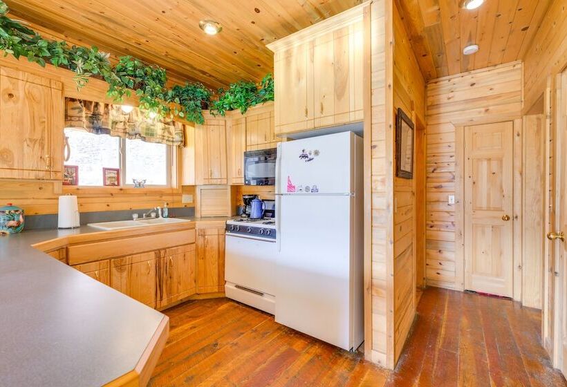 Pet Friendly Idaho Home On The Salmon River!