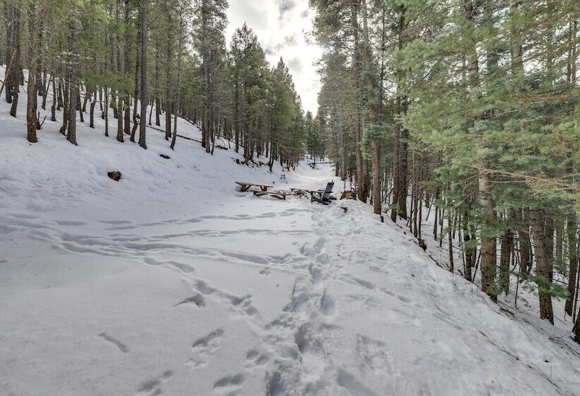 Spacious Mountain View Cabin By Angel Fire Resort