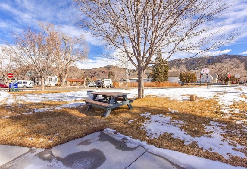 0255: Eclectic Sanctuary 6 Blocks From Downtown!