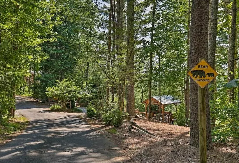 A Sunset Dream    Upscale Blue Ridge Cabin!