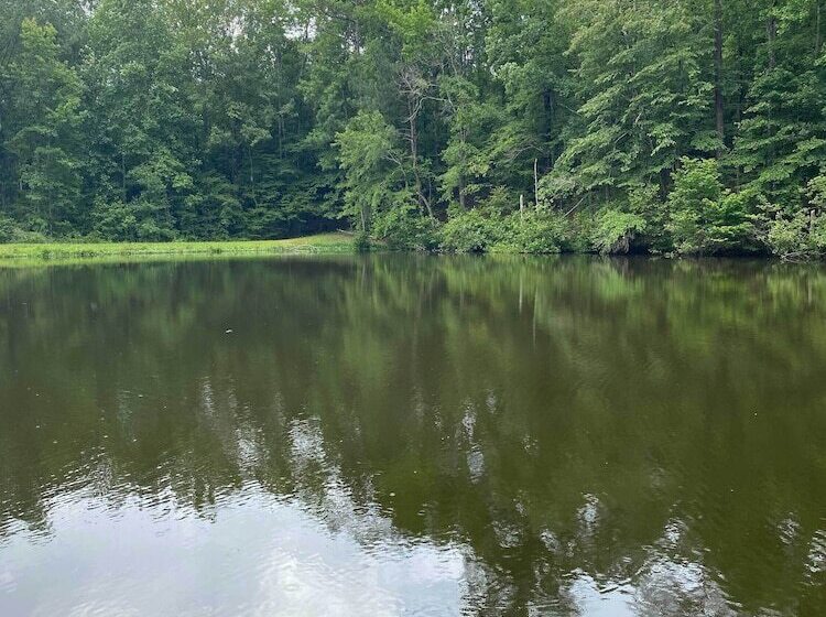 Lakefront Hamilton Cabin W/ Dock & Fire Pit!