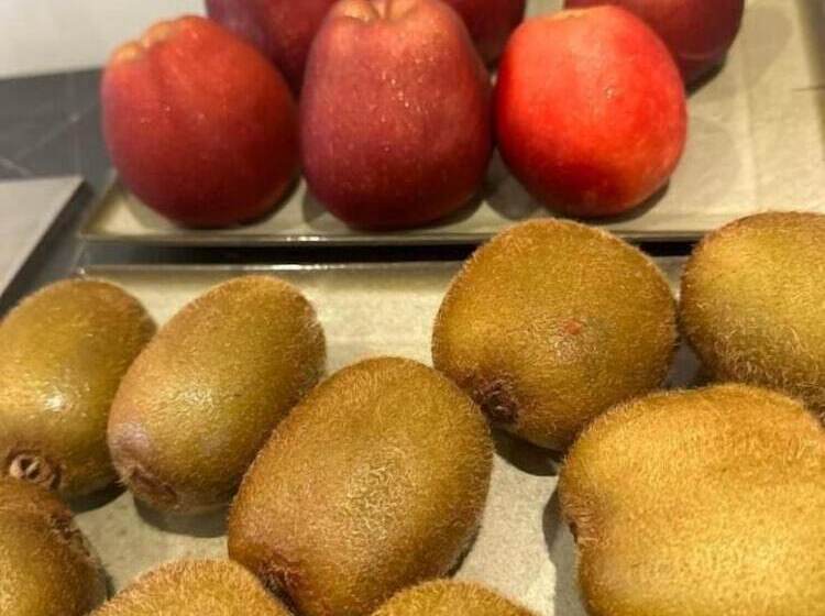 ホテル Nicolas Grand Suites Adults Only