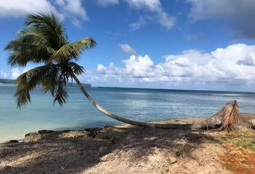 تختخواب و صبحانه Casa Azul Las Galeras