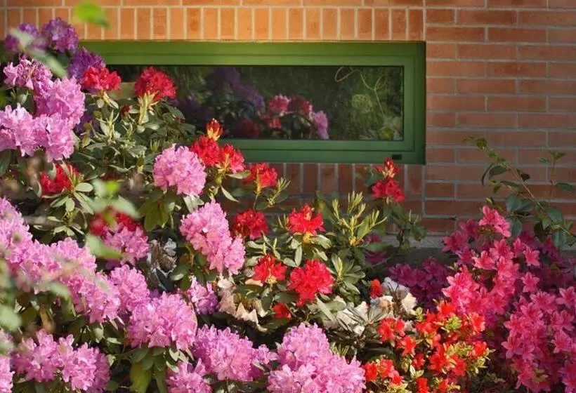 ベッドアンドブレックファースト Villa Delle Ortensie