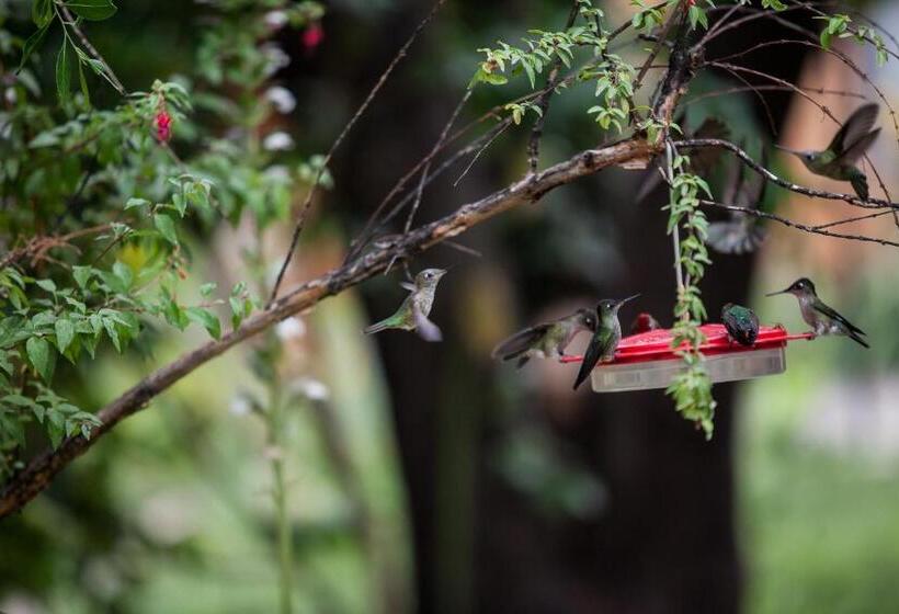 Szálloda Cabañas Hosteria De Vilches