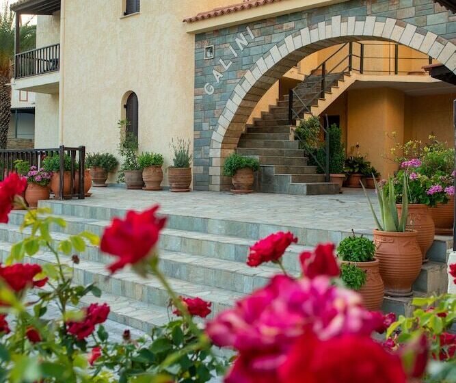 בית מלון כפרי Galini Apartments