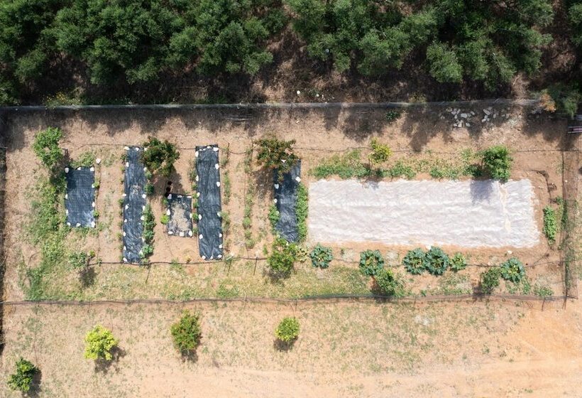 Modone Villas In Peloponnese