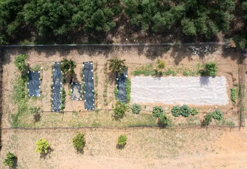 Modone Villas In Peloponnese