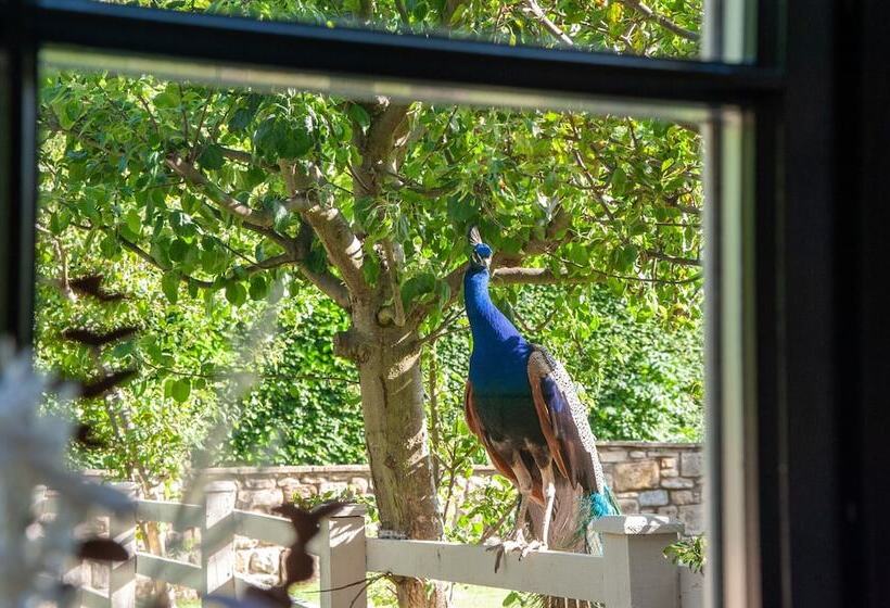 Northern Hideaways Apple Store, Ellingham