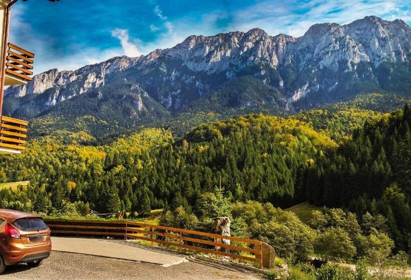 펜션 Panorama Pietrei Craiului