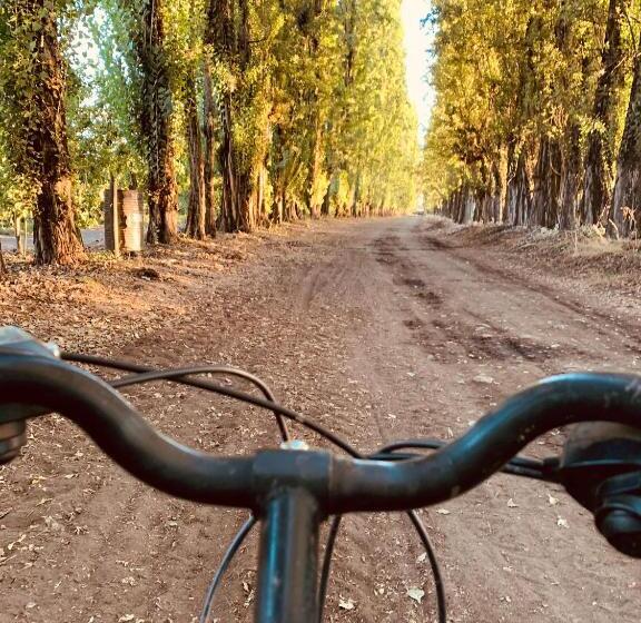 Bed and Breakfast Casona La Fogonera