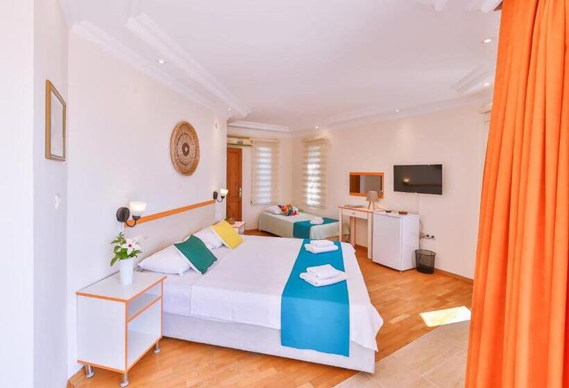 בית מלון כפרי Lacitrus Villa &