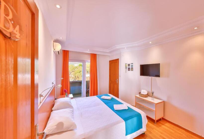 בית מלון כפרי Lacitrus Villa &