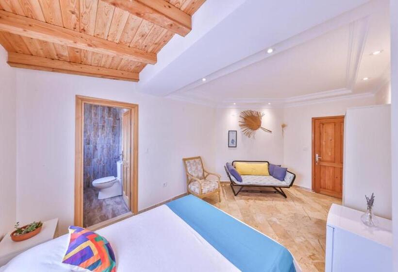 בית מלון כפרי Lacitrus Villa &