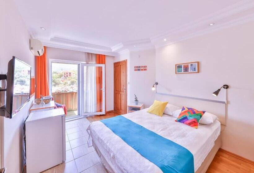 בית מלון כפרי Lacitrus Villa &