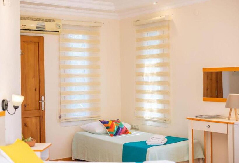 בית מלון כפרי Lacitrus Villa &