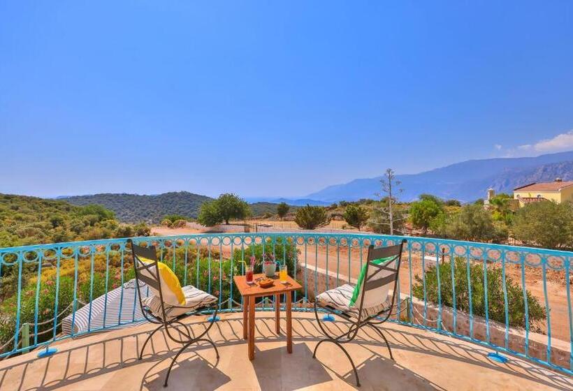 בית מלון כפרי Lacitrus Villa &